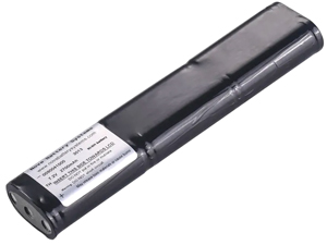 Trilithic 860DSPi akku